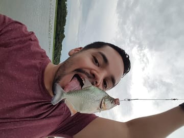 Piranha Fishing and Alligator Watching on the Solimoes River