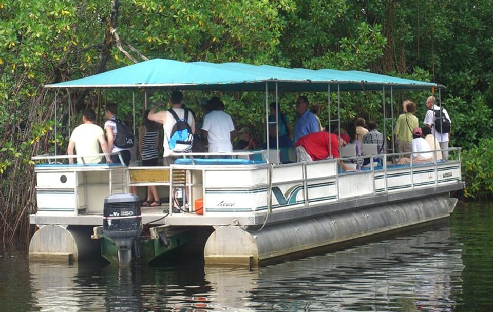 Private Day Tour to YS Falls and Black River from Negril