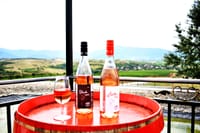 Rupel Winery - Wine Tastings, Tours & Activities 4