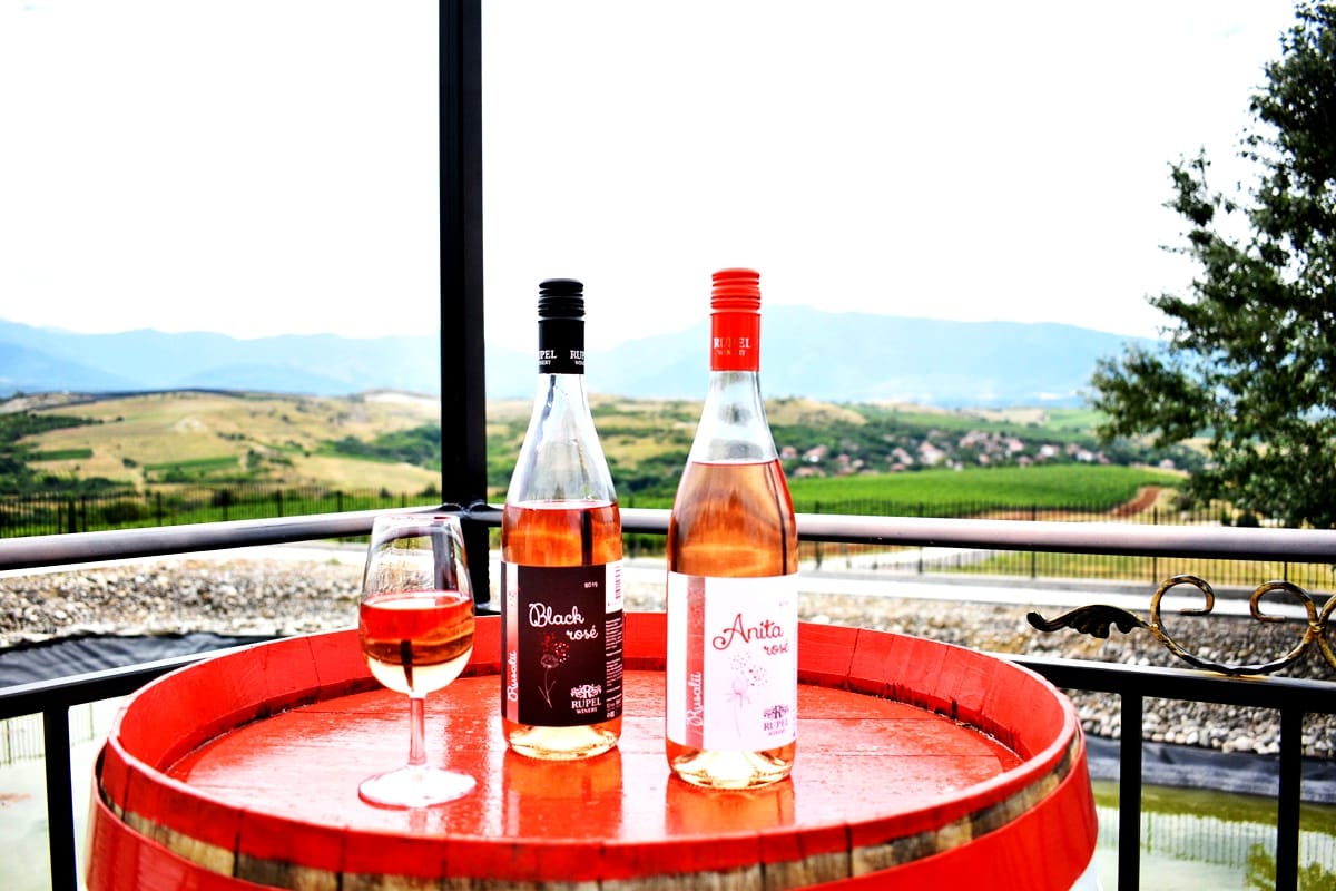 Rupel Winery - Wine Tastings, Tours & Activities 4