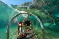 Go Miami All-Inclusive Pass 6