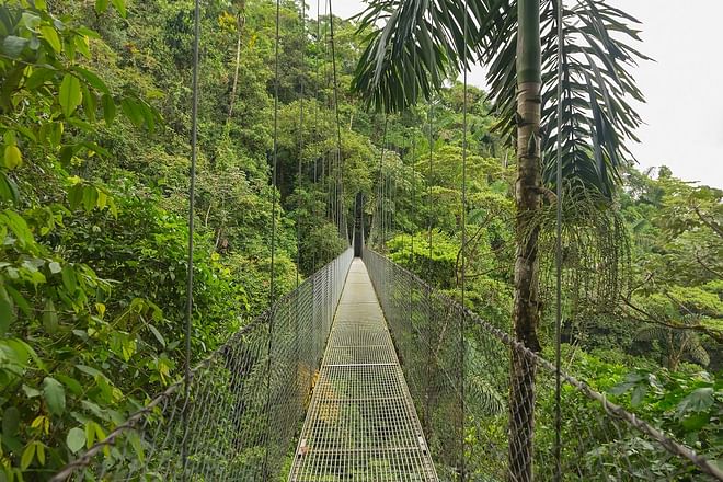 Essential Costa Rica with extension to Guanacaste, Tamarindo Beach & San José City
