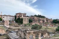 Private Tour Colosseum, Palatine Hill and Roman Forum 6