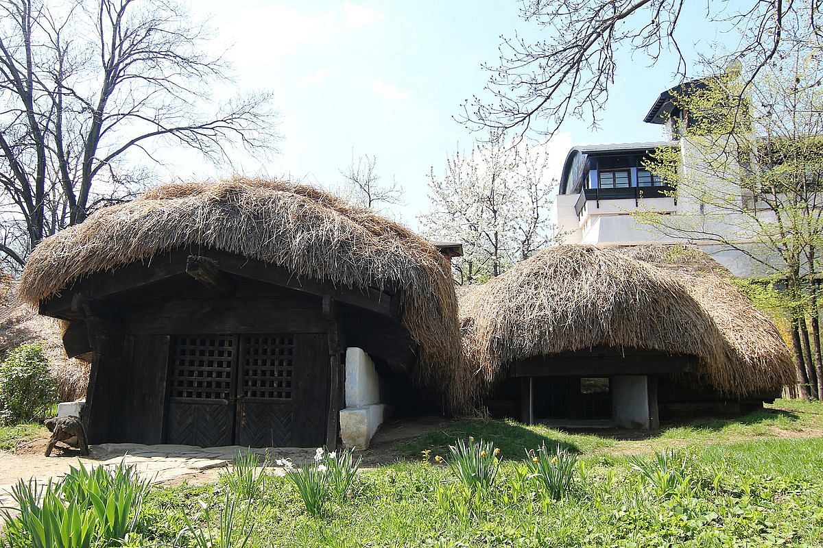 Village museum. Muzeul satului в Молдове.