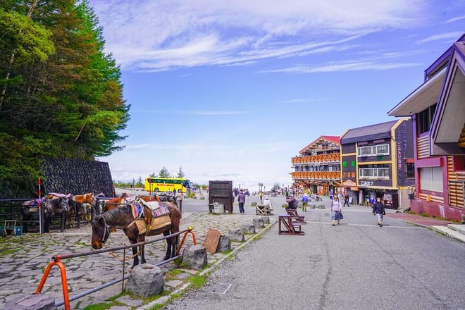 Mt. Fuji Private Chartered Tour with Nature and Wasabi Farm 3
