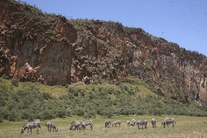 one day hells gate National park tour