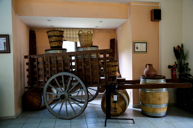 Paphos: Scenic Troodos Mountains Tour with Wine Tasting 9