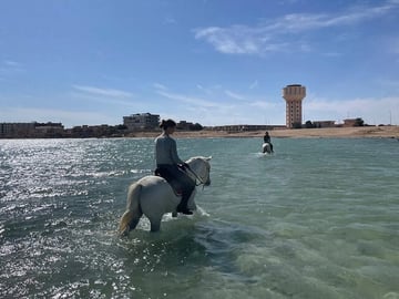 2-Hour Horse Riding in the Desert and by the Sea