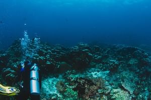 Scuba Diving in Santorini - Two Dives (same day) for certified divers 