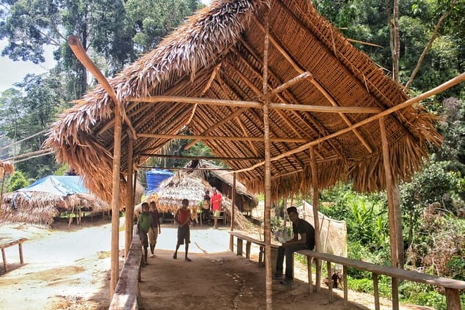 Taman Negara National Park Trekking Day Tour (SIC - Join In Tour) 9