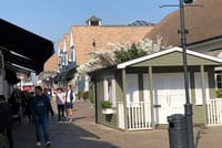 Bicester Village Private Guided Shopping Experience 5
