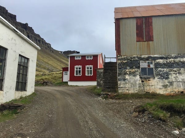 Strandir Adventure Private Tour 2