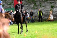 Medieval days
