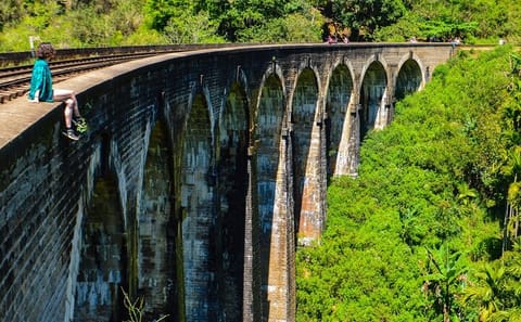 Ella Day Tour with Tea Factory Visit from Colombo or Negombo