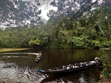 Putrajaya, KL City, Batu Caves & Fireflies Combo Tour (SIC)