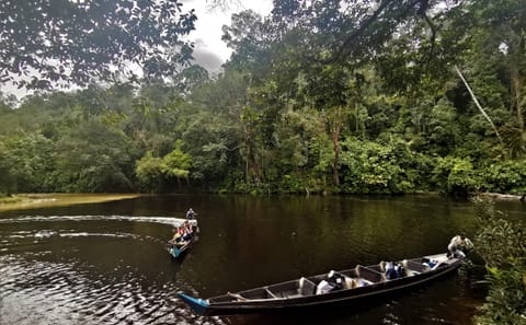 Taman Negara Nature Tour with Lata Berkoh Falls Visit