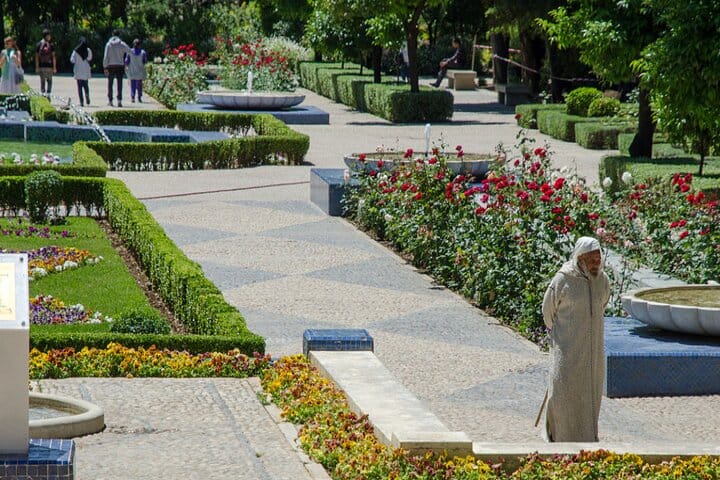 Your private guided tour of Fes unlocks the hidden secrets of the 9,000-street medina.