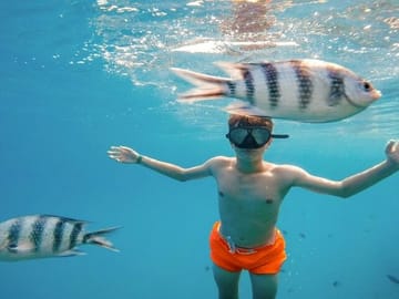Hurghada Royal Submarine Cruise with Snorkel Stop