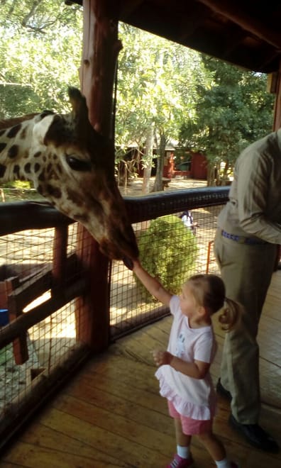 Giraffe Center Half-Day Trip from Nairobi photo 5