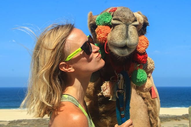 Cabo Camel Ride Experience 7