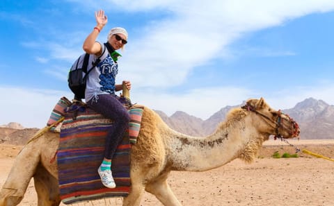 Desert Adventure: Buggy, Camel Ride, Dinner & Stargazing in Sharm El Sheikh