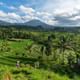 Ubud Highlights Day Tour