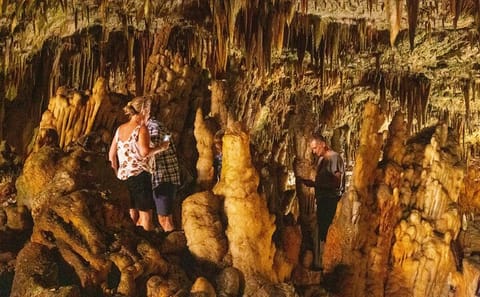 Private Full-Day Tour of Assos and Chaliotata in Cephalonia