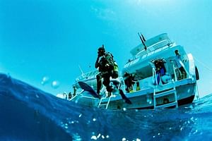 Scuba Diving Boat Trip 2 Stops Diving for bigenners and Lunch – Marsa Alam