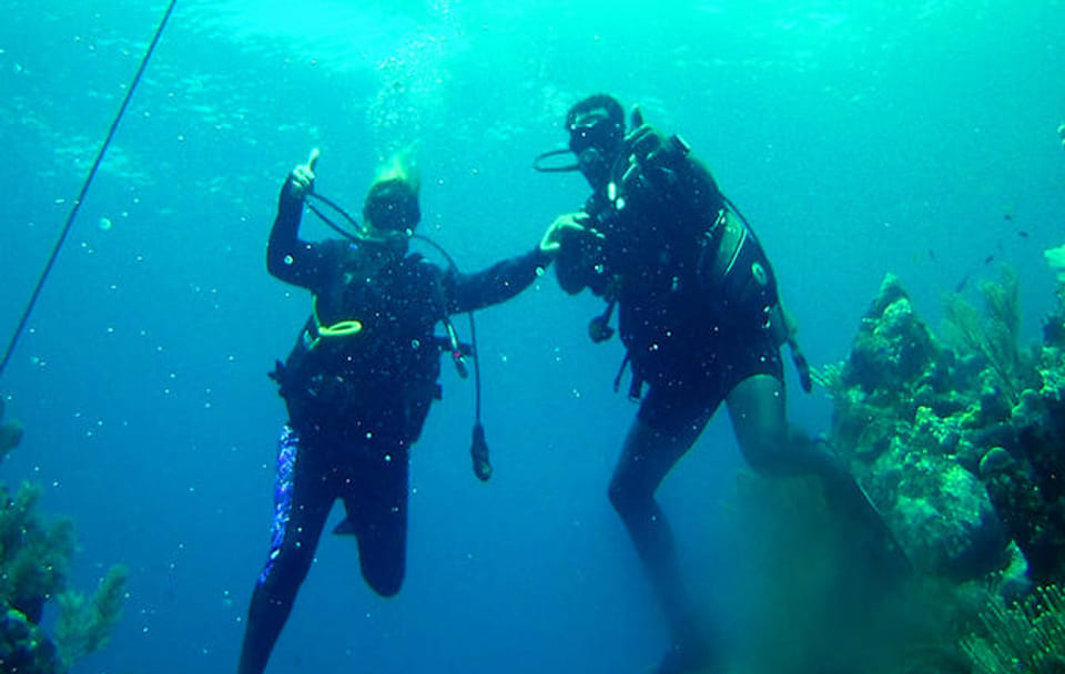 Coxen Hole 2 Tank Dive and Boat Sightseeing Tour