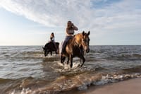 Horse Riding Tour Two Hours Sun &amp; Sea With Transfer - Hurghada