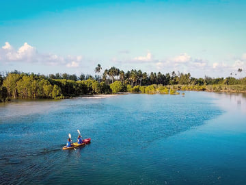 Kayaking through Mafia Island mangroves
