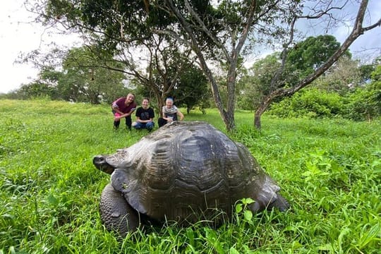 5-Day Galapagos Luxury Tour with Local Flights Included