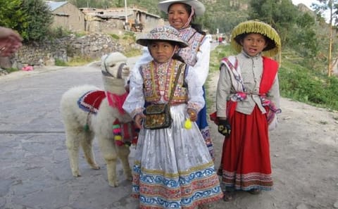2-Day Nature Tour of Colca Canyon from Arequipa
