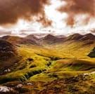 Wild Red deer viewing safari. Galway. Private guided. 3 hours. 6