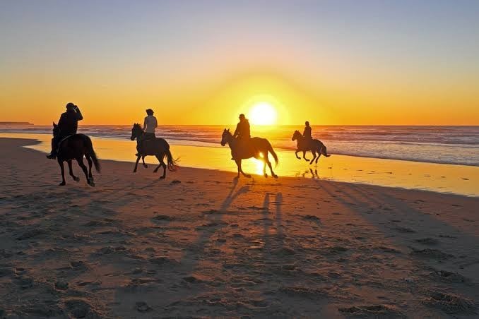 Horse riding: beach & desert trail