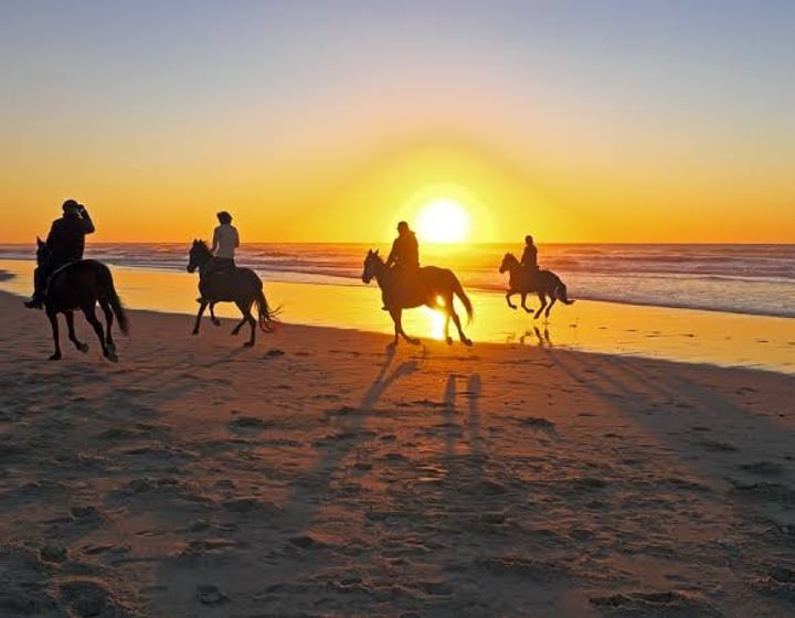 Horse riding: beach & desert trail