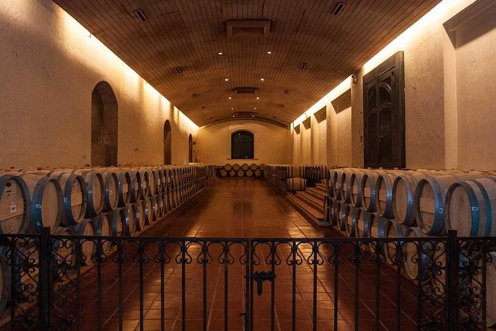 Half Day Trip to Concha y Toro Vineyard from Santiago - Wine Tasting Included