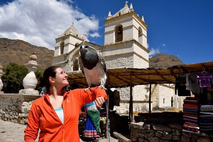 Colca Canyon Day Trip from Arequipa