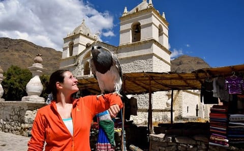 Colca Canyon Day Trip from Arequipa