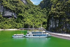 5 Star Halong Bay Day Trip,Buffet Lunch,Limousine by Expressway