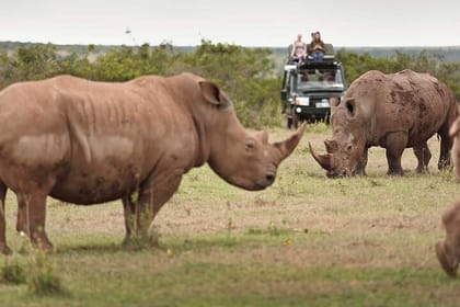 3Days Aberdares and Sweetwaters Ol Pejeta Chimpanzee Sanctuary