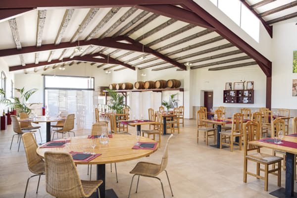 Visit to winery with wine tasting and grilled menu   2