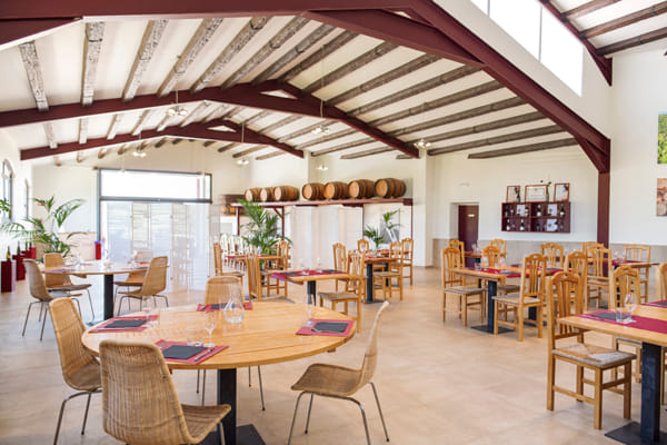 Visit to winery with wine tasting and grilled menu   2