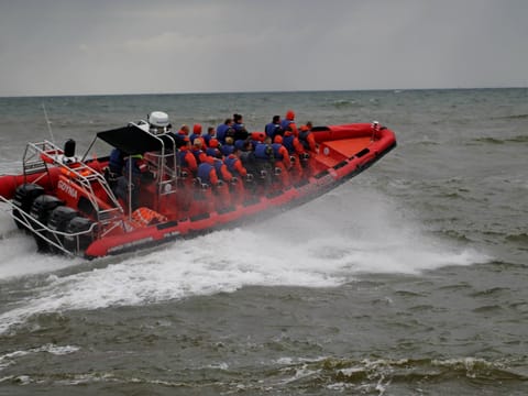 Whale Watching from Downtown Reykjavik by RIB Speedboat , photo 4