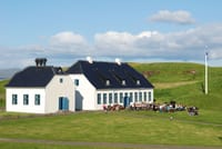 Viðey Ferry - from Skarfabakki 7