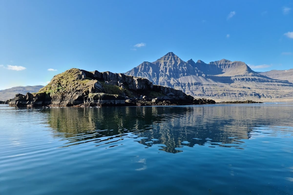 Djúpivogur Wildlife Boat Tour, Iceland