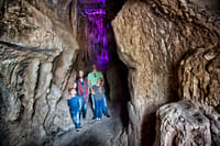 Skip the Line: Jungle Park Tenerife Entrance Ticket 5