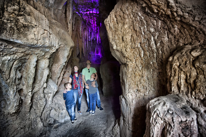 Skip the Line: Jungle Park Tenerife Entrance Ticket photo 5
