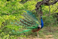 Eco & Adventure Tour 02 8