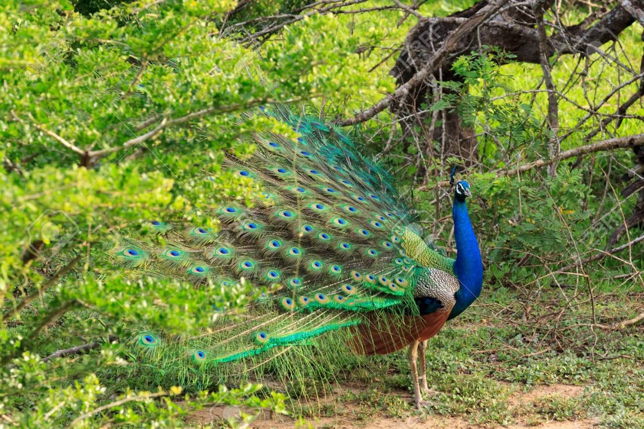 Eco & Adventure Tour 02 8